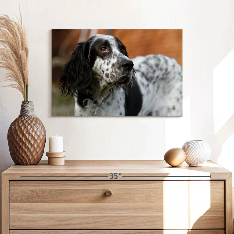 Crowle Spotted English Setter