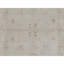 Hand Knotted Oriental Area Rug in Beige