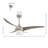 Coleigh 52'' Ceiling Fan with LED Lights-2010980605