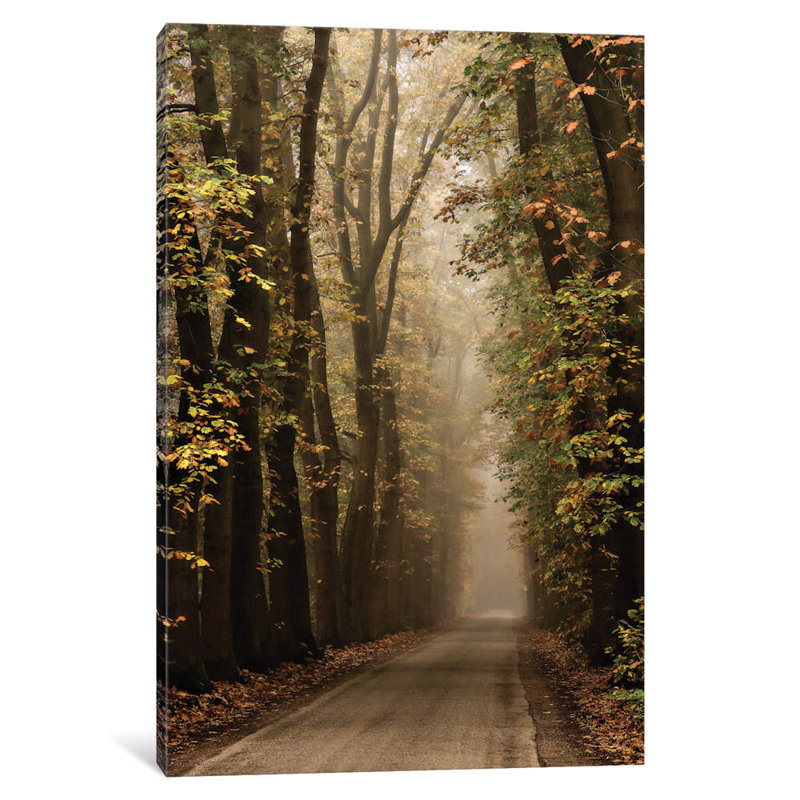 Folia by Lars Van De Goor - Wrapped Canvas Print, 66.04 cm H x 45.72 cm W x 1.91 cm D
