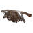 Lily's Living Live Edge Console Table Teak Root-1165152392