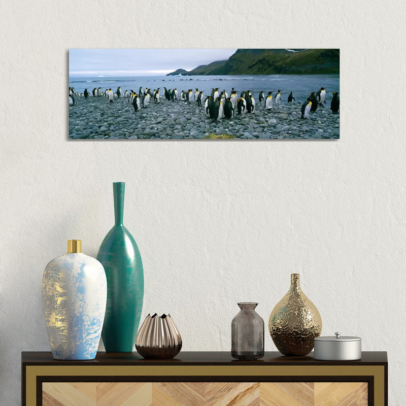 Colony Of King Penguins On The Beach, South Georgia Island, Antarctica - Wrapped Canvas Panoramic Print