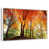 Floating Frame White