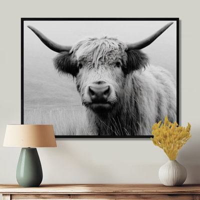 Portrait de vache grise noire Highland en Écosse - vache, reproduction d'art sur toile, ferme grise