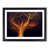 Black Framed selected