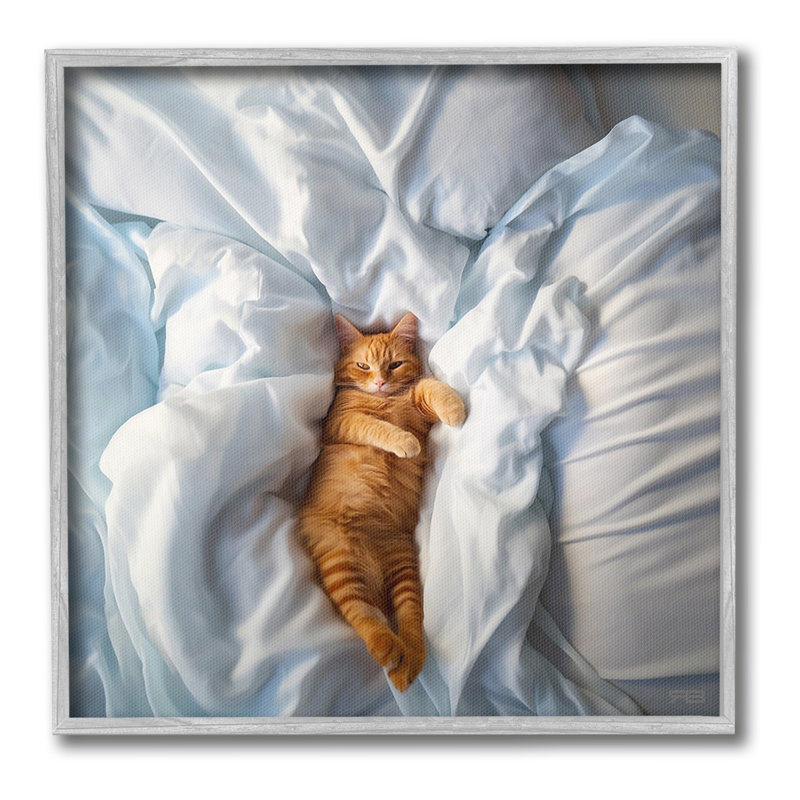 «Sprawled Orange Cat», art de la giclée encadrée par RB, Estampe numérique Farmhouse, H 17 po x l 17 po