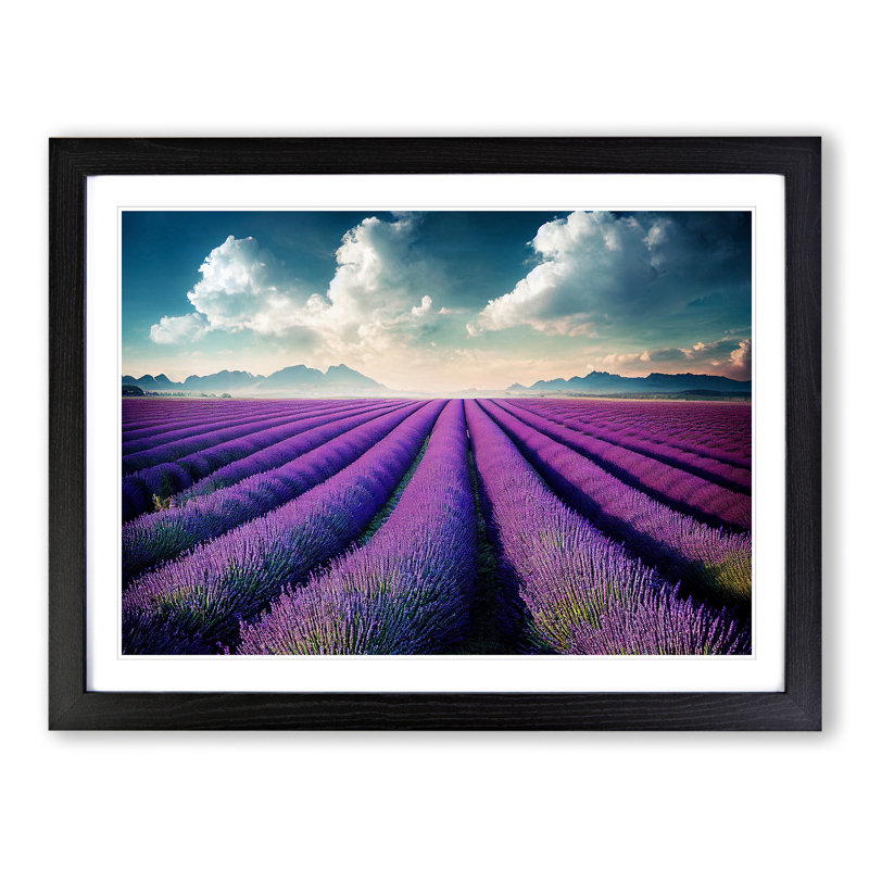 Creative Lavender Flower Field - Single Picture Frame Print, Black, 46cm H x 64cm W x 2cm D