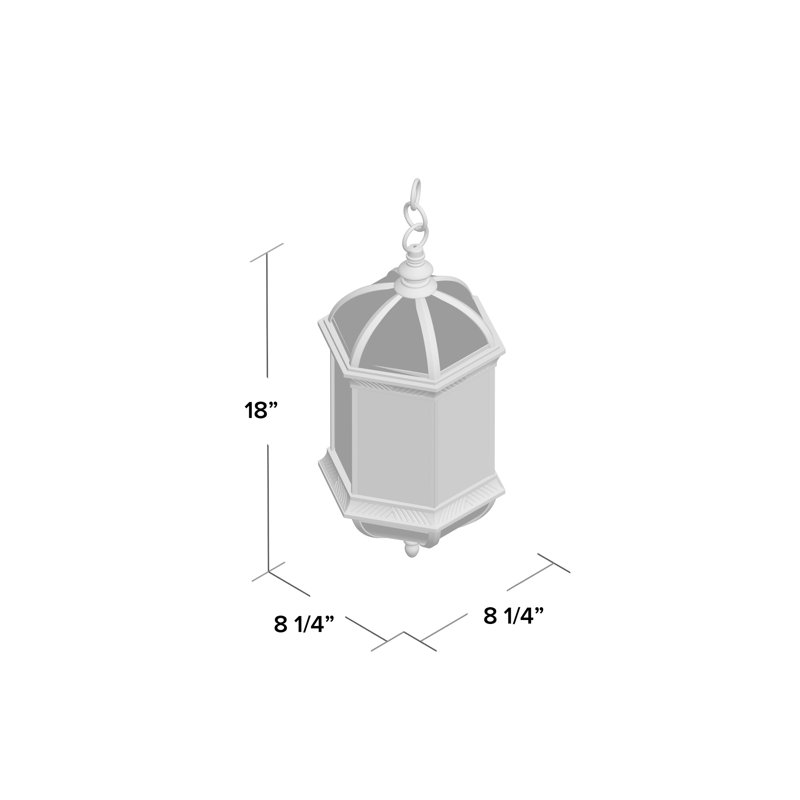 Affric 1 -Bulb 18" H Outdoor Hanging Lantern in Textured Black, Textured Black