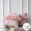 Housse de coussin en plumes-1263361731-1263361758-1228598421