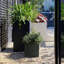 Planter Box-616968465-616968744