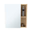 Pharmacie avec miroir, cinq tablettes internes, porte simple - pin-1671433953