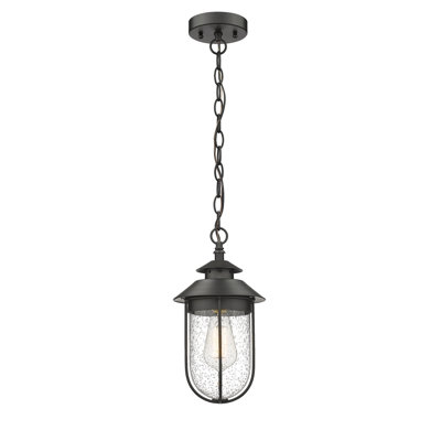 Clyda 1 -Bulb 12.99"" H Outdoor Hanging Lantern -  Breakwater Bay, E31083B671D643B989C8CDC65EE930E8