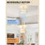 Ventilateur de plafond Gold Boho Chandelier