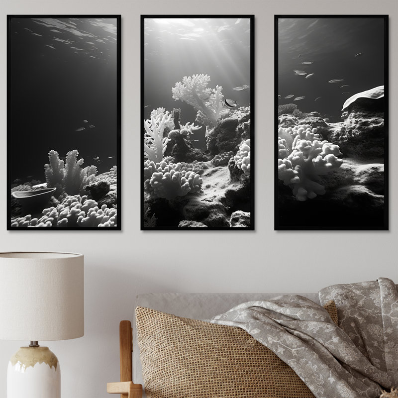 «Black and White Coastal Corals I - Coastal Coral Under Water», ensemble d'art sur toile, Cadre flottant noir