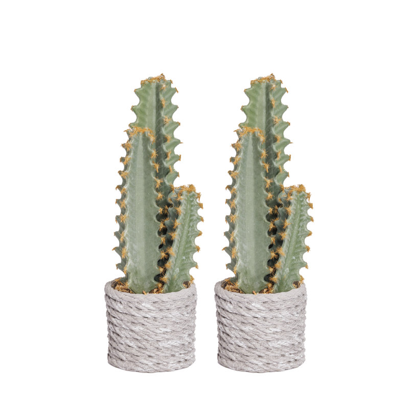 Cactus artificiel | paquet de 2 de 10 po | Décoration amusante pour la maison | Primevue