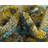Meadow Abstract Indoor Rug-40280742