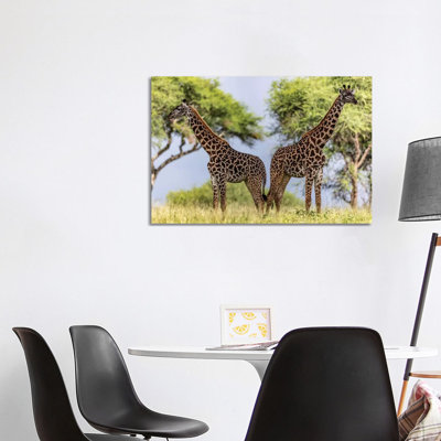 " Twins " Print
