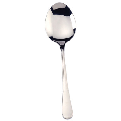 Sevon Stainless Steel Serving Spoon