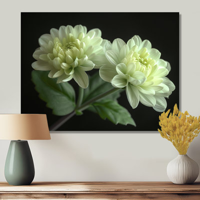  «Green Monicolom Mums Flowers Bouquet - Mums Wall Art Living Room
