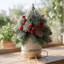 Lot de 2 mini sapins de Noël artificiels en pot, décoration de table en PE givré avec pommes de pin et baies rouges pour foyer