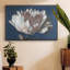 White Peony - reproduction sur toile avec cadre flottant-93410806-93410812