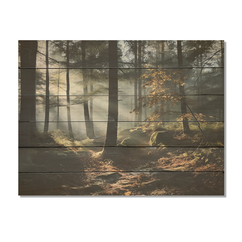 Pine Forest Autumn Scenery - Forest Wood Wall Art On Natural Pine Wood, 24" H x 32" W