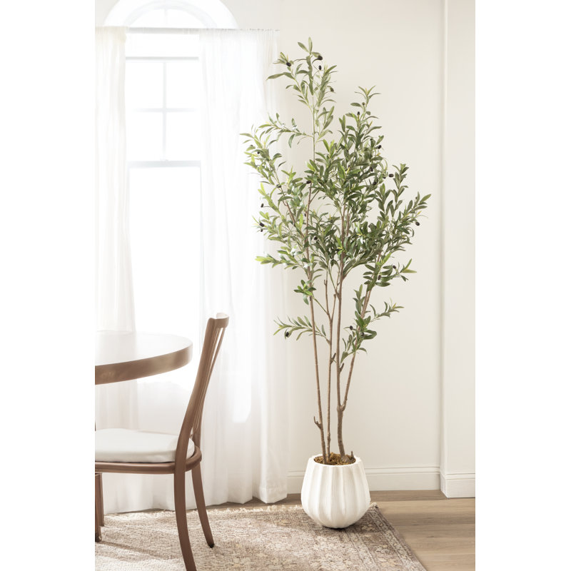 Oliveira moderne Oliveira avec pot de chambre de bébé et mousse ensachée, 60 po x 24 po, Blanc, Pot à fleurs festonné Claudel