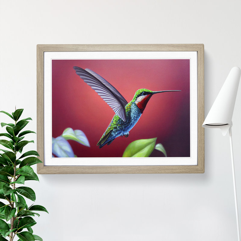 Charming Hummingbird - Single Picture Frame Print, 34cm H x 46cm W x 2cm D, Oak