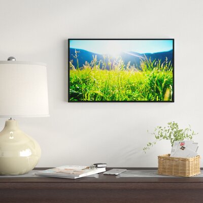 Beautiful Green Nature Wonder' Framed Photographic Print on Wrapped Canvas -  East Urban Home, ERNI0028 46739144