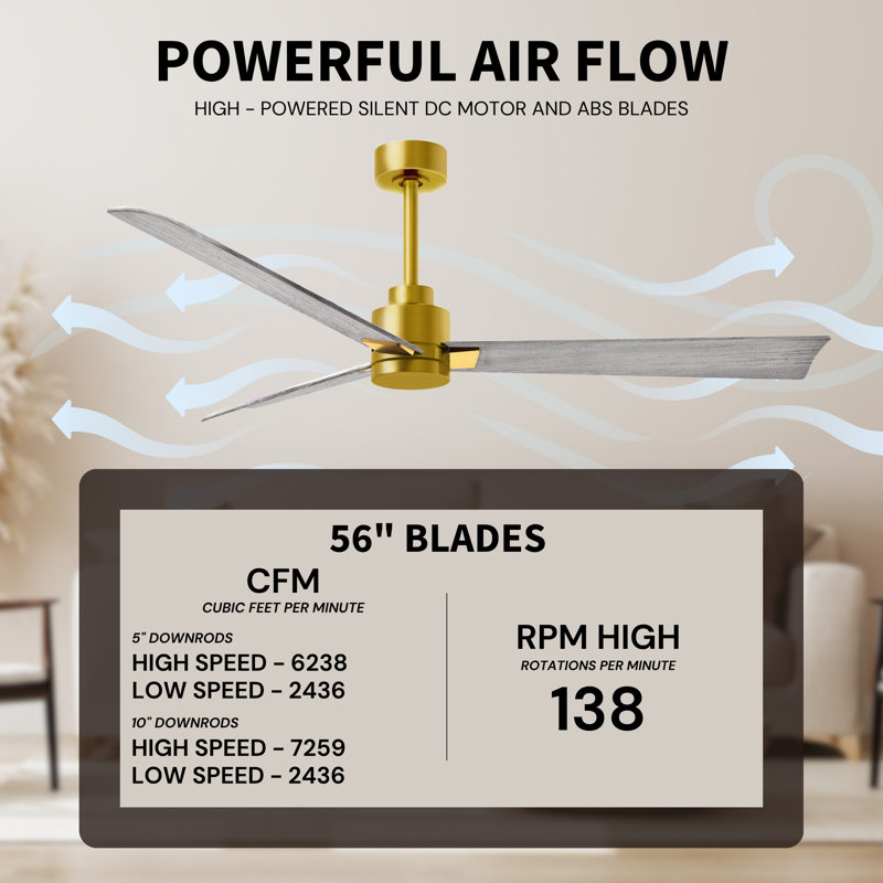 Alessandra Outdoor Downrod Ceiling Fan, Barn Wood Tone, Brushed Brass