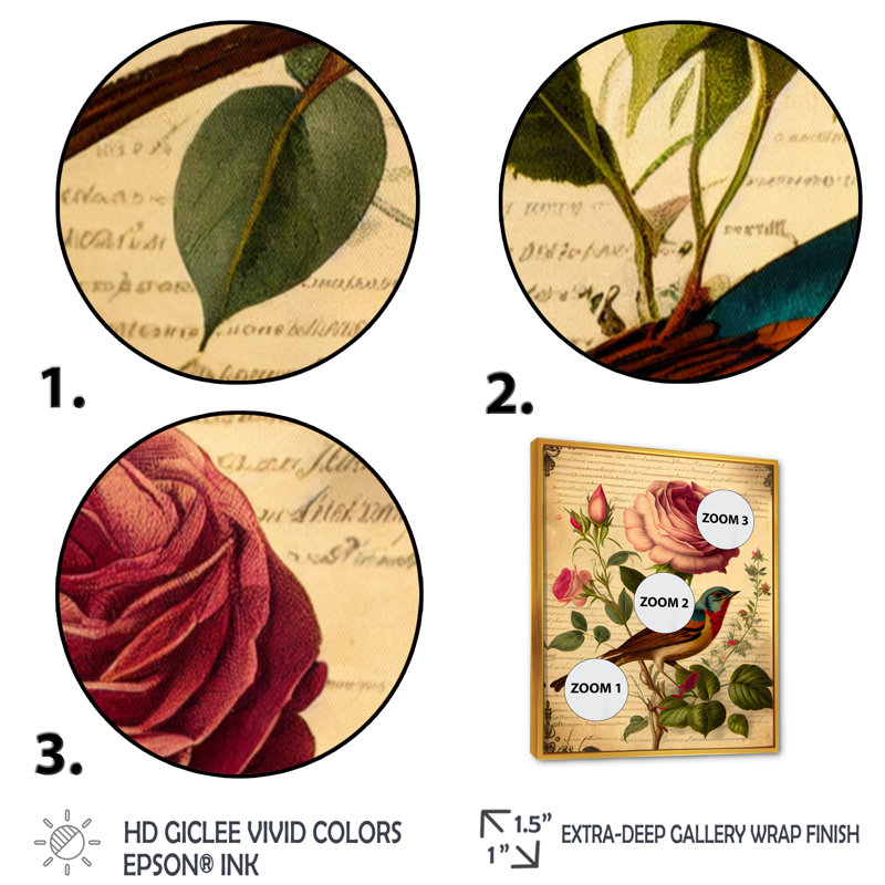«Pink Rose on Retro Parchment II», reproduction sur toile, H 32 po x l 16 po x P 1 po, Cadre flottant doré
