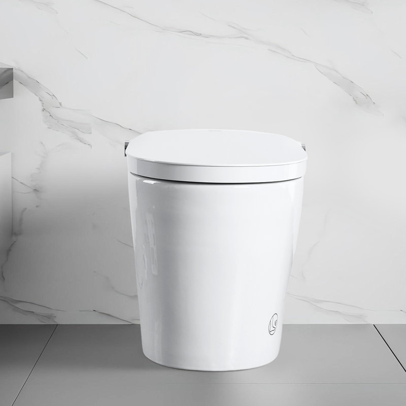 Smart One - Piece Toilet With Built In Bidet, Auto Open/Close Lid Detected By Radar Sensor, Flush System For Convenience, Heated Seat Adjustable Temperature, Bubble Wash And Warm Water Drying