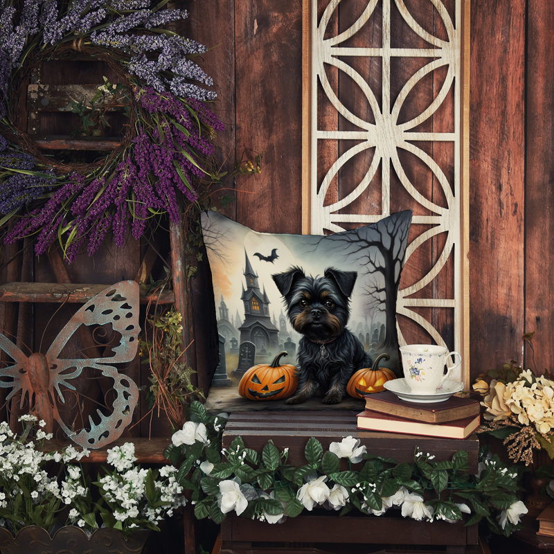 Other/No Pattern Outdoor Throw Pillow, 14" x 14"