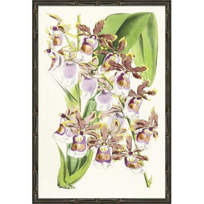 «Yellow Orchids», reproduction d'impression encadrée