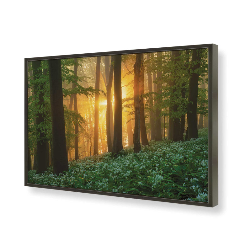 «Spring Magic» par Martin Podt, reproduction d'art, Black, L 12 po x H 8 po, Impression encadrée