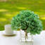 Arrangement floral d'hortensias dans un vase-1620024863
