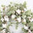 Eucalyptus Cotton 26" Fall Harvest Front Door Wreath