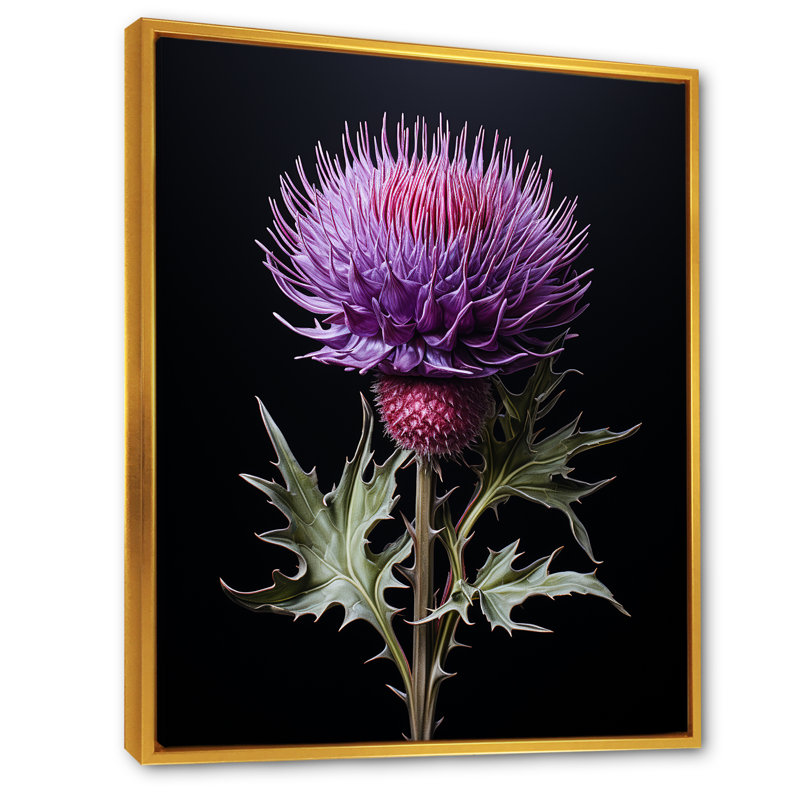 Fleurs de chardon noir II - chardon, art mural, Cadre flottant doré, H 40 po x l 30 po x P 1,5 po