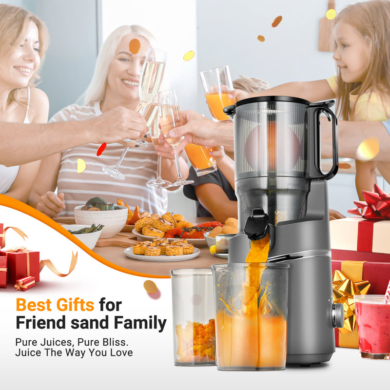 5.3" Self-feeding Masticating Juicer – Whole Fruit & Vegetable Cold Press Juicer, 250w High-yield Extractor, Easy To Clean