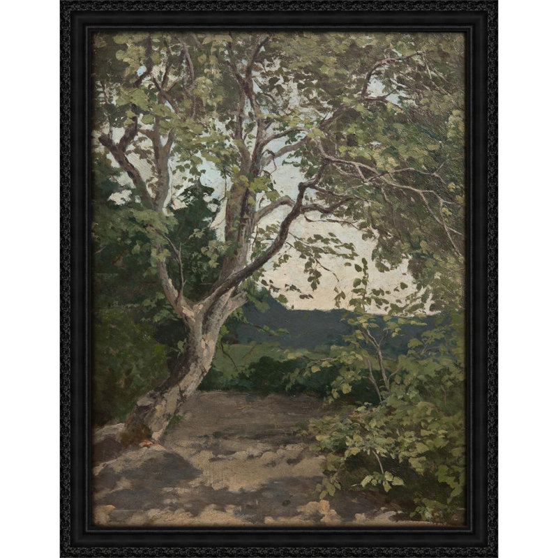 A Tree. Study