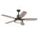 52'' Ceiling Fan with LED Lights