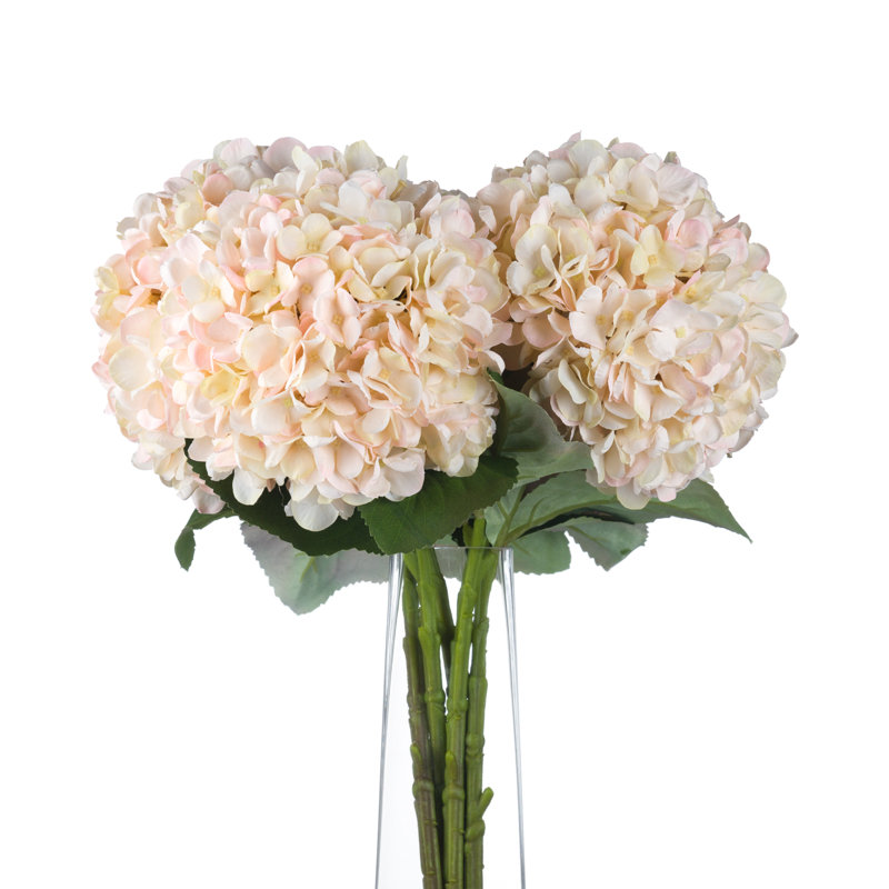 Hydrangea Arrangement