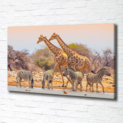 Giraffes And Zebras - No Frame Print on Canvas
