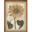 Jaune, tournesol, floral, élégant, monochrome, botanique, illustrations, rustique, campagne française-102453506