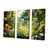 Toile tendue