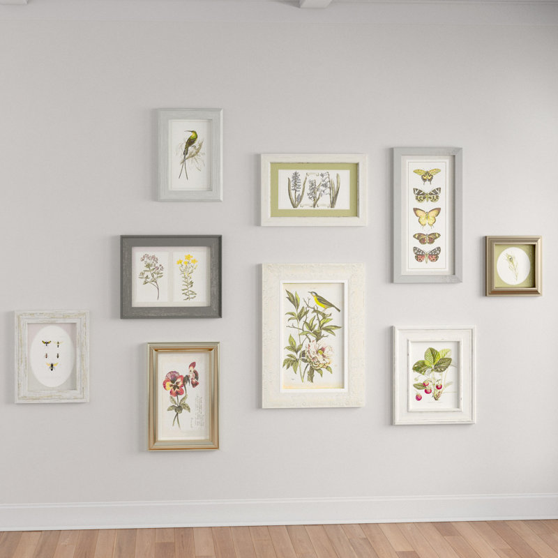 Botanical Collection - 9 Piece Single Picture Frame Print