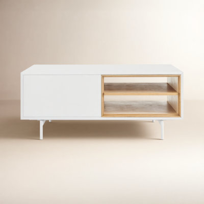 Ikram Storage Coffee Table