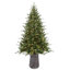 Sapin de Fraser Jasper Elite avec DEL