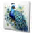 Toile tendue