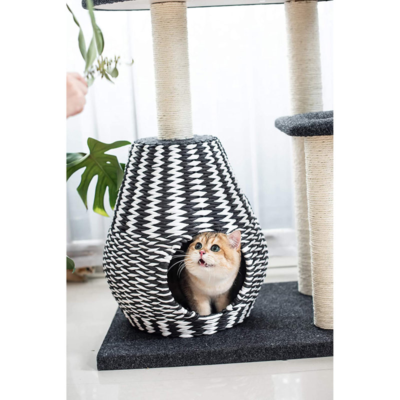 Arbre à chat 49 "Willy Ace